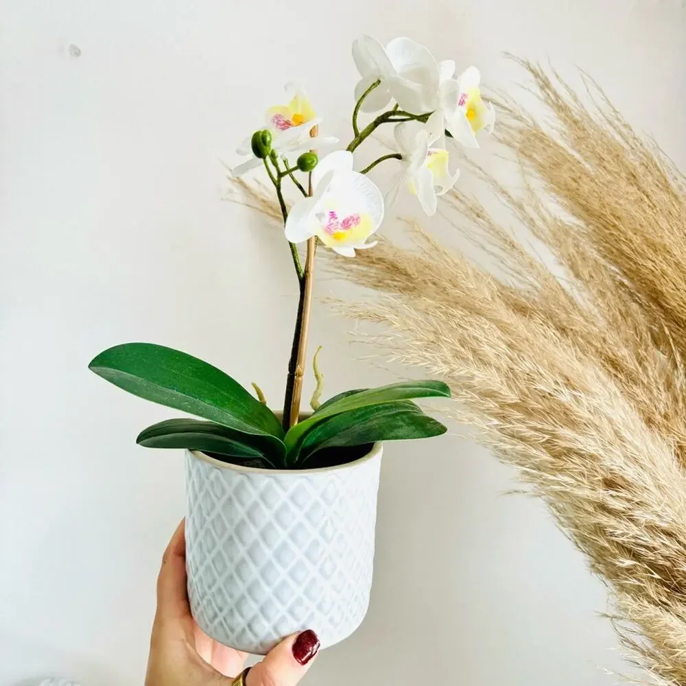 POTTERY BARN White Orchid Faux Plant Planter White Ceramic Etched Geo Pot Decor
